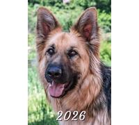 2026: Small Monthly Calendar Planner - German Shepherd Dog