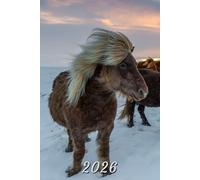 2026: Small Monthly Calendar Planner - Iceland Horse