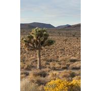 2026: Small Monthly Calendar Planner - Joshua Tree Mojave Desert