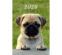 2026: Small Monthly Calendar Planner - Pug Dog