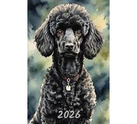 2026: Small Monthly Calendar Planner - Watercolor Black Poodle Dog