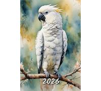 2026: Small Monthly Calendar Planner - Watercolor Cockatoo Bird On A Branch