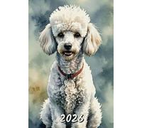 2026: Small Monthly Calendar Planner - Watercolor White Poodle Dog