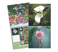 2026 Wall Calendar, Monthly Flower Theme Calendar, Hangable 12-Month Planner with large Grid Blocks for Scheduling and Organization in Office Bedroom Classroom Living Room, 28 x 28 cm