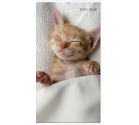 2027-2028 Cuddly Kittens Pocket Planner