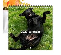 2027 Calendar - Playful Dog 12 Month Hangable Planner Display | Pup