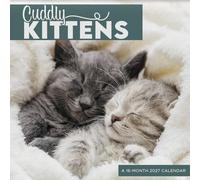 2027 Cuddly Kittens Mini Calendar