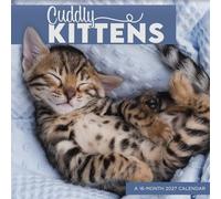 2027 Cuddly Kittens Wall Calendar