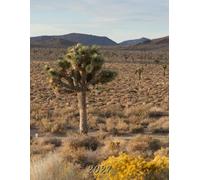 2027: Large Monthly Calendar Planner - Joshua Tree Mojave Desert California Scenery