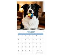 2027 Wall Calendar - Cute Funny Thick Monthly Paper Dog Planner