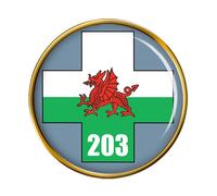 203 Campo Ospedale, Britannico Militare Spilla