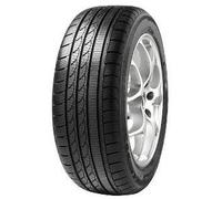 Minerva S 210 205/40R17 84V XL