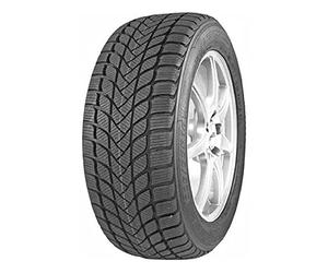 205/55 R 17 95H MASTER-STEEL WINTER IS-W