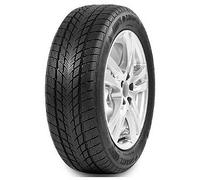 Davanti Wintoura 205/55R16 91H TL