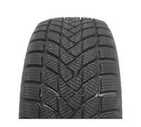 205/55 R16 91 H MASTERSTEEL - WINTER PLUS 1 3PMSF (TL)