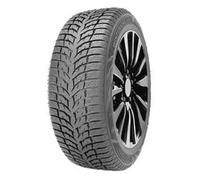 DOUBLE STAR WINTERKING DW08 205/55 R16 91T TL M+S 3PMSF