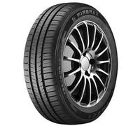 205/55 R16 91 W FIREMAX - FM601