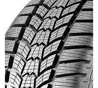 205/55 R 17 ESKIMOHP2 XL 95 V