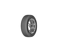205/55 R17 95 W DELINTE - DS2