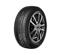 205/60 R16 92 V FIREMAX - FM601