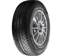 Cooper Discoverer Winter 205/60 R16 96 H