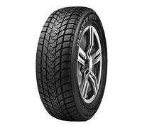 205/60 R16 96 H DELINTE - WINTER WD1 XL M+S 3PMSF
