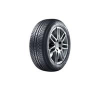 Sunny Wintermax NW611 205/65R15 94T