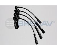 206.007CO Bobina d'accensione Brecav