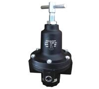 20AG-X4G-PH100 G1/2 Valvola riduttrice di pressione