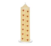 20cm Natale Advent Candela Con Pettirosso Immagine Su Vetro Tray - Scegli Colore
