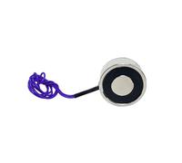 20Kg 200N Tenendo Magnete Elettrico di Sollevamento P34/18 Cilindro Elettromagnete Solenoide 5 V 6 V 12 V 24 V DC 1 Pz(24v)