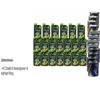 20L Olio Motore FANFARO TDI 10W-40 4xLeak-Stop+Motor Doctor+Motor Flush