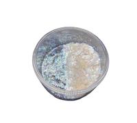 20Ml Micas Polvere con Nacreous Shimmering Artigianato Forniture per Decorazioni per la Casa Design Gioielli Colore Lunga Durata Piccolo Contenitore Portatile Brillante Perle Pigmento per Resina