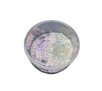 20Ml Micas Polvere con Nacreous Shimmering Crafting Forniture per Decorazioni per la casa Design Gioielli Colore di lunga durata Piccolo contenitore portatile Polvere glitter compatta per la creazione