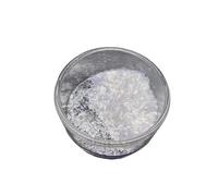 20Ml Micas Polvere con Nacreous Shimmering Crafting Forniture per Decorazioni per la casa Design Gioielli Colore di lunga durata Piccolo contenitore portatile Polvere glitter compatta per la creazione