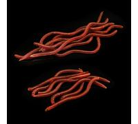 20pcs Simulazione Lombrichi Morbido Esche for Pesca Catch Altro Pesce Adesso