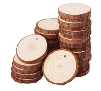 20pcs Wood Slices Craft Kit with Hole Per Decorare