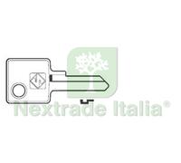 20PZ CHIAVI PER CILINDRI MERONI 4 SPINE PICCOLE MER2 MER2 DX: