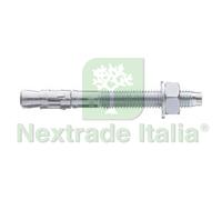 20PZ TASSELLO ACCIAIO T11 CON DADO E RONDELLA Ø MM.16X110: