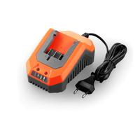 caricabatterie rapido per 20V 2.4A FUXTEC E1LG2A