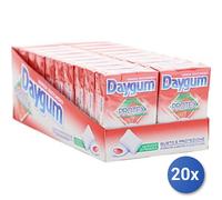 20x Multipack Chewing Gum Gomma Daygum Protex Fragola