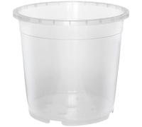 20x Orchidea Trasparente Basamento Fiore Giardino Terrassentopf Balkonbox Pianta