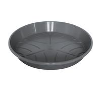 20x Sottobicchieri Vaso da Fiori Piante Piatto Conchiglia Kräutergefäß Giardino