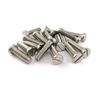 20x Vite a Testa Cilindrica con Intaglio DIN 84 Acciaio Inox M6x80