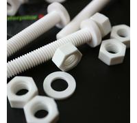 20x Viti a Testa Arrotondata Bulloni e dadi, Bianchi M8x 60mm