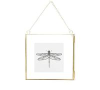 20x20cm Cornici fatte in rame Ottone Appeso Galleggiante Oro Geometrico Ornamento Pianta Esemplare Clip Decorazioni verticali moderne Cartoline Artwork Frame Solo cornice in vetro