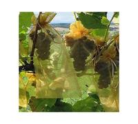 (20x30CM, Wine Red(100PCS)) Bunch Protection Bag Grape Fruit Organza Bag With Drawstring Gives Total Protection