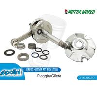 210.0020 ALBERO MOTORE PIAGGIO ZIP SQUALETTO 50 2T Ø39,3 BIELLA 85 mm