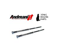 210/HD33E CARTUCCIA ANDREANI PLUG&PLAY MISANO EVO HARLEY DAVIDSON FLH / FLT TOUR