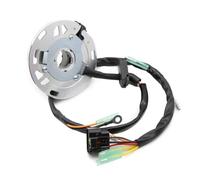 21003-1394 21003-0021 Gruppo bobina magnete statore compatibile con KX125 2003 2004 2005 KX125-M1 2003 KX125-M2 2004 KX125-M3 2005 Parte di ricambio del motore del motociclo